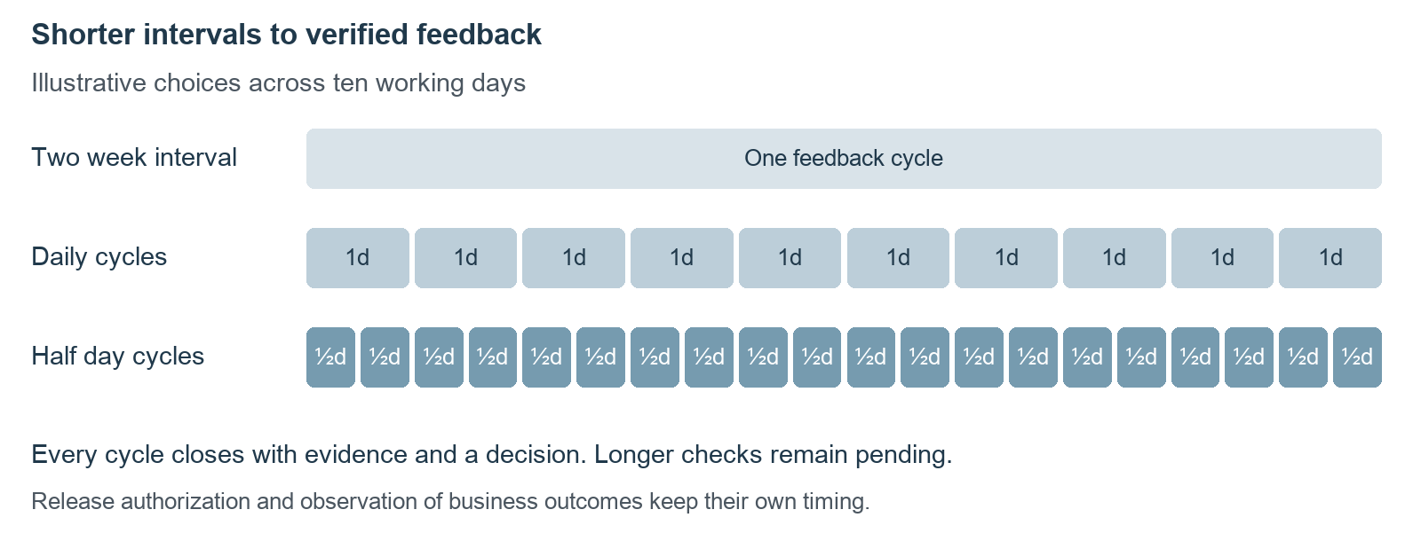 Illustrative feedback intervals across ten working days: one two-week cycle, ten daily cycles or twenty half-day cycles. Release approval and outcome observation have separate timing.